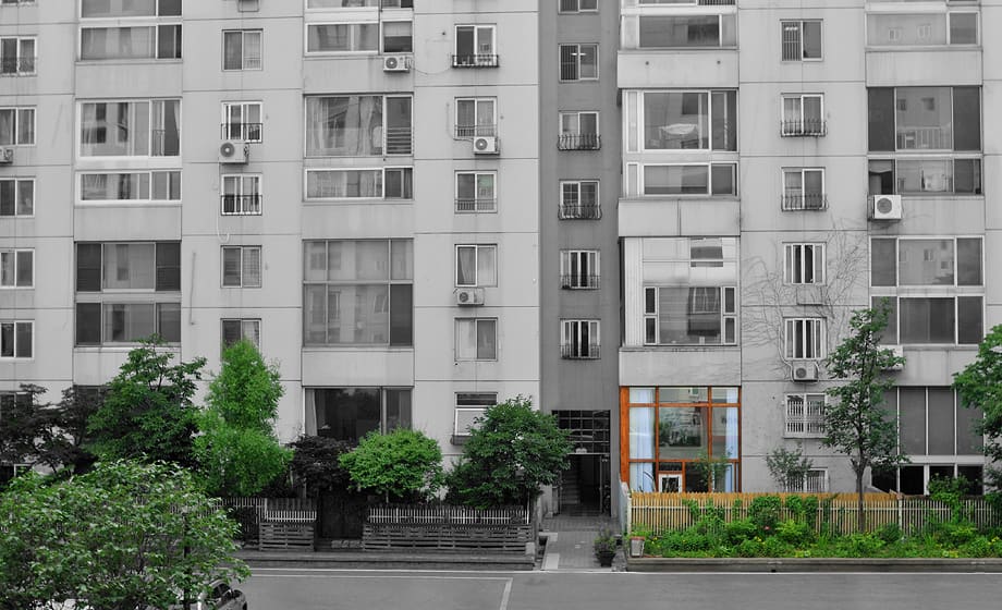 Renovating and Living in an Apartment